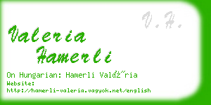 valeria hamerli business card